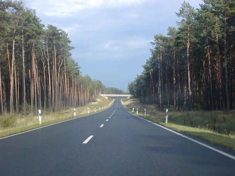 Nice new road towards Poland.