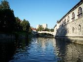 dragon bridge